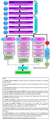 Current Regulatory Requirements for Biosimilars in Six Member Countries of BRICS-TM: Challenges and Opportunities